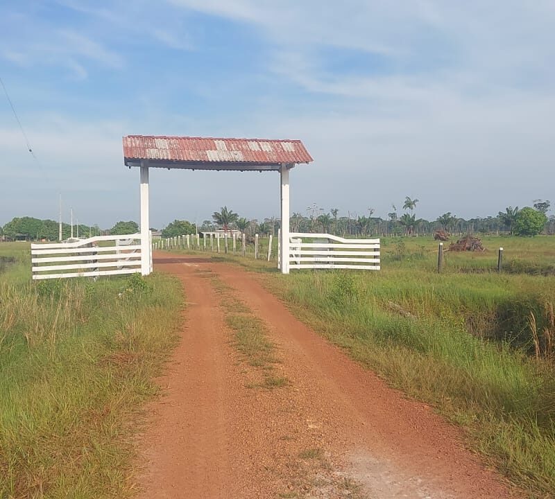 🌾 FAZENDA  – 2.620 HECTARES – CARACARAÍ/RR