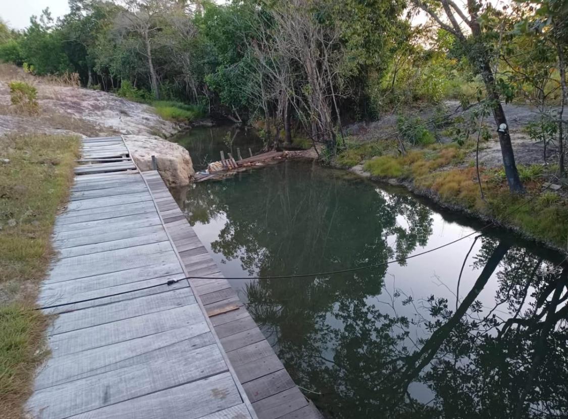 🌿🏡 LINDO SÍTIO À VENDA – BOITENTO / RR - Imagem 4