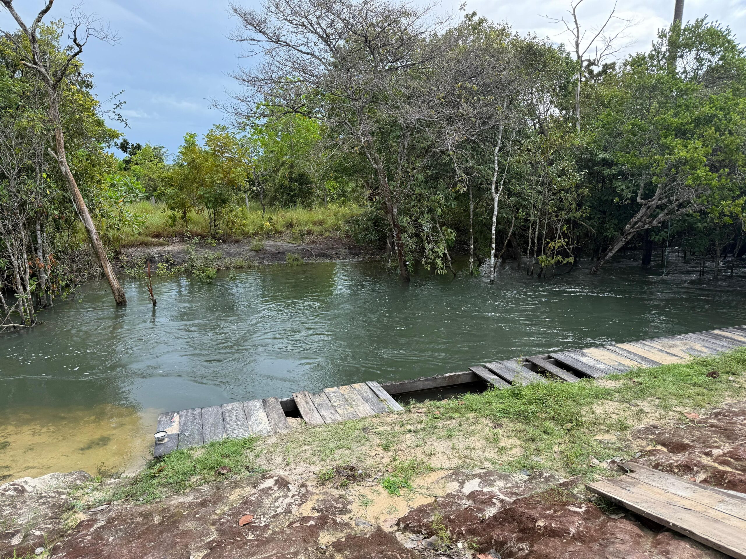 🌿🏡 LINDO SÍTIO À VENDA – BOITENTO / RR - Imagem 5