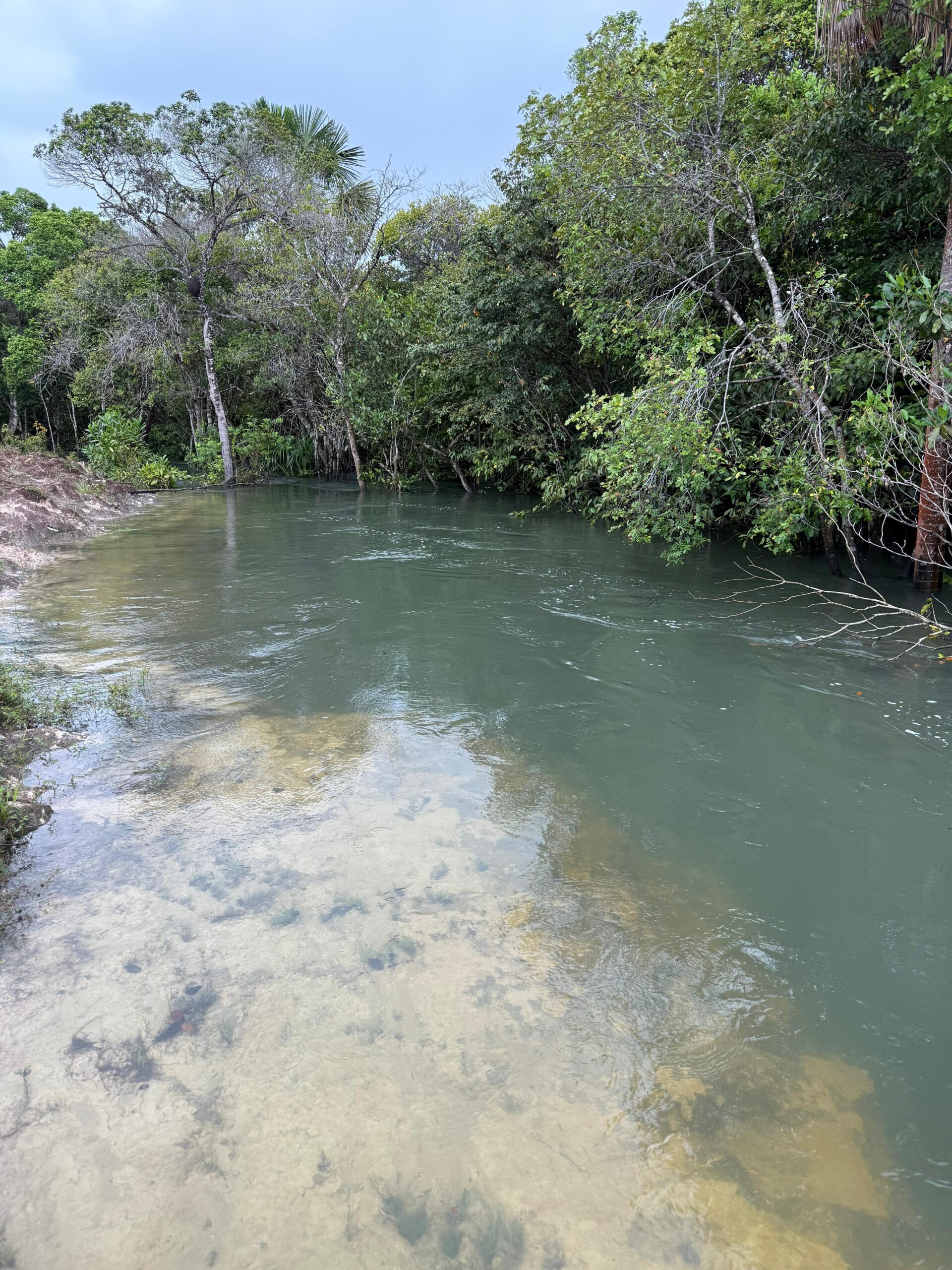 🌿🏡 LINDO SÍTIO À VENDA – BOITENTO / RR - Imagem 6
