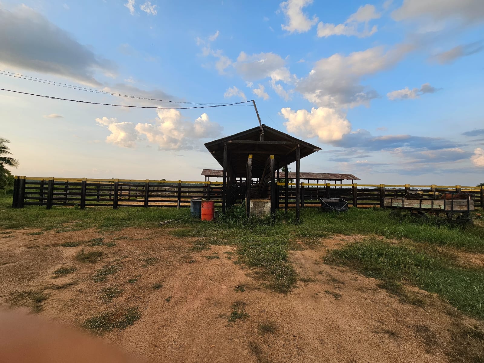 FAZENDA À VENDA – REGIÃO DO BONFIM/RR – 1.000 HECTARES - Imagem 6