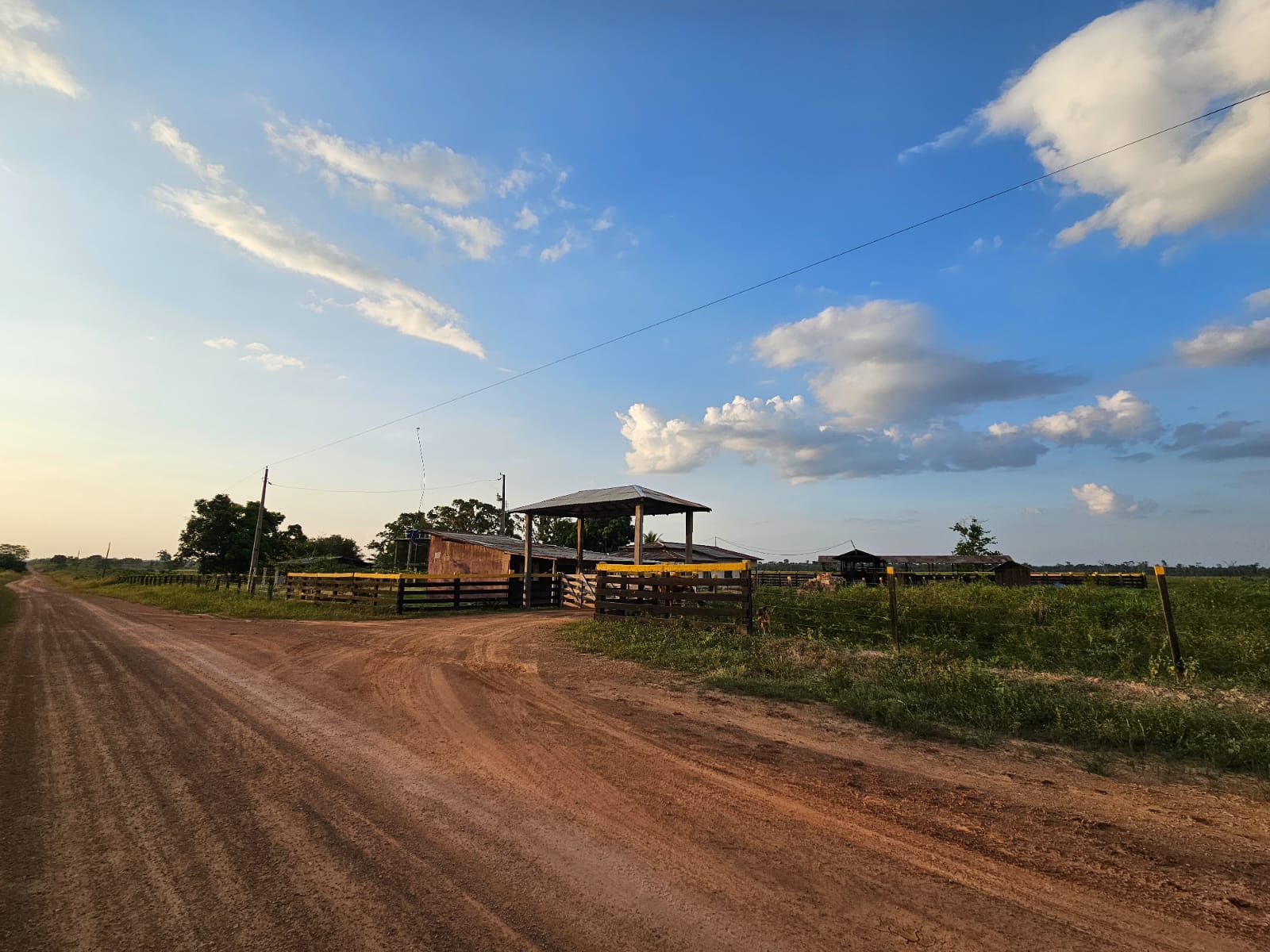 FAZENDA À VENDA – REGIÃO DO BONFIM/RR – 1.000 HECTARES - Imagem 4
