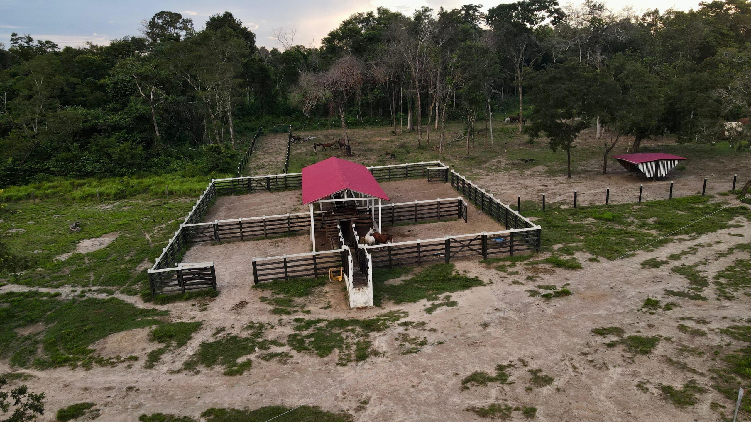 FAZENDA À VENDA – REGIÃO DO BONFIM/RR – 1.000 HECTARES - Imagem 3
