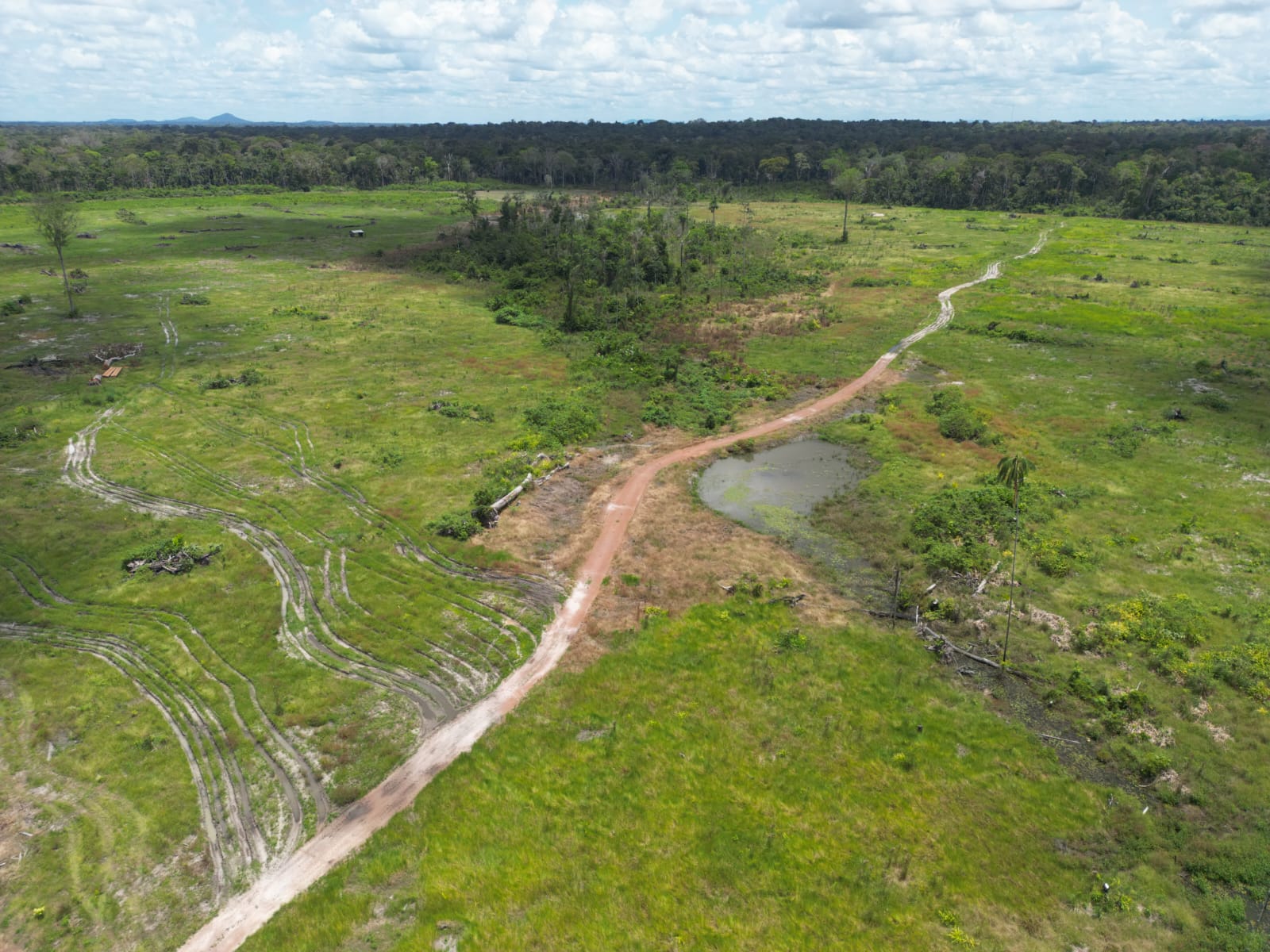 š¾ FAZENDA ā 2.620 HECTARES ā CARACARAĆ/RR - Imagem 3