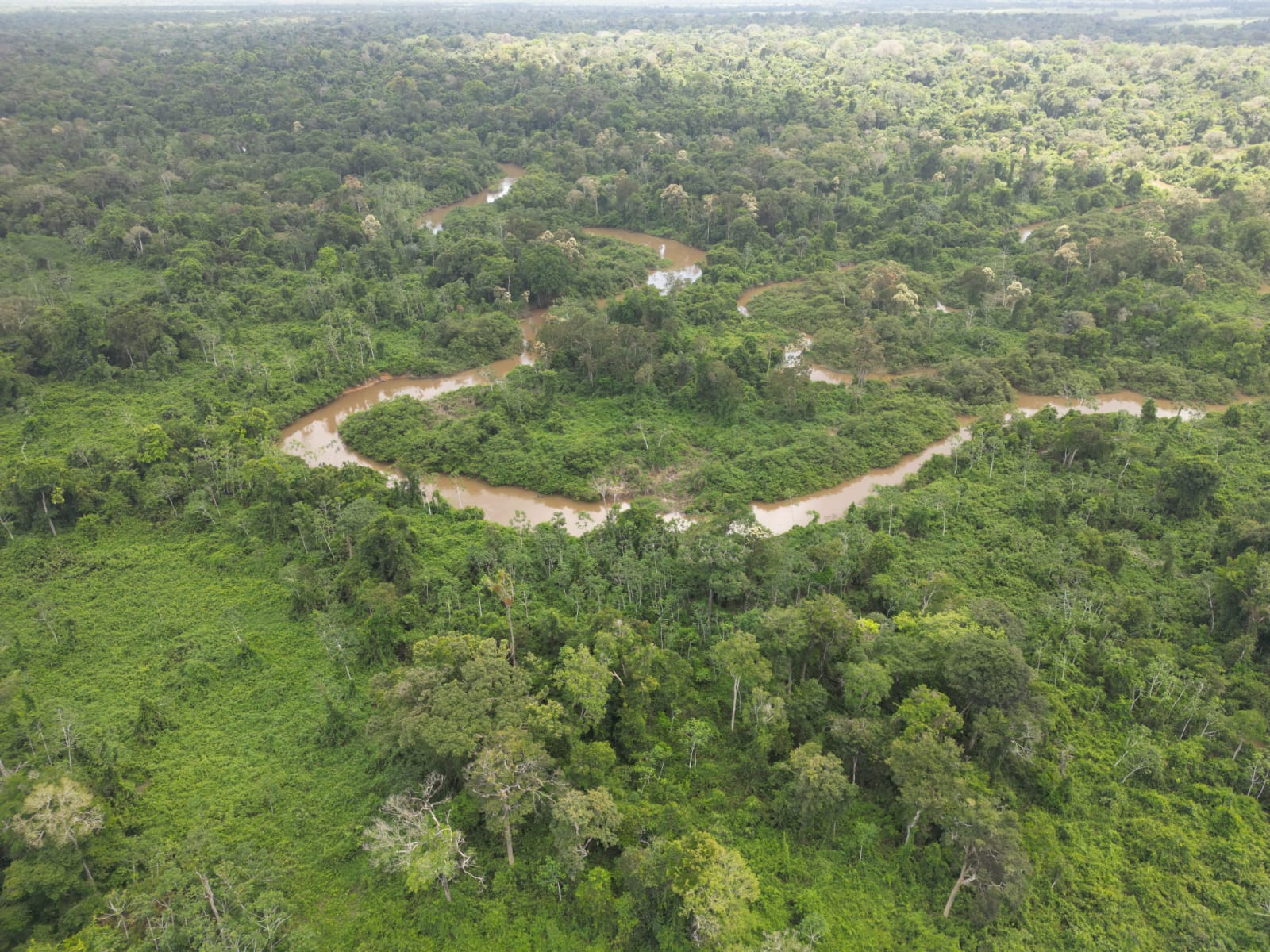 š¾ FAZENDA ā 2.620 HECTARES ā CARACARAĆ/RR - Imagem 4