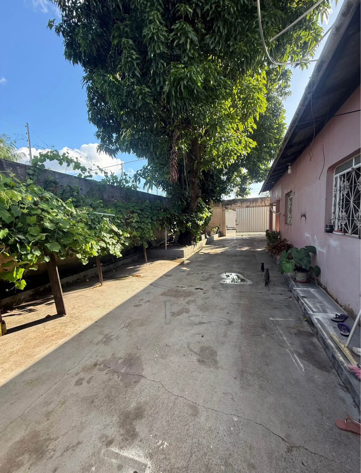 Casa 4 Quartos — BAIRRO SANTA LUZIA-Boa Vista/RR - Imagem 3