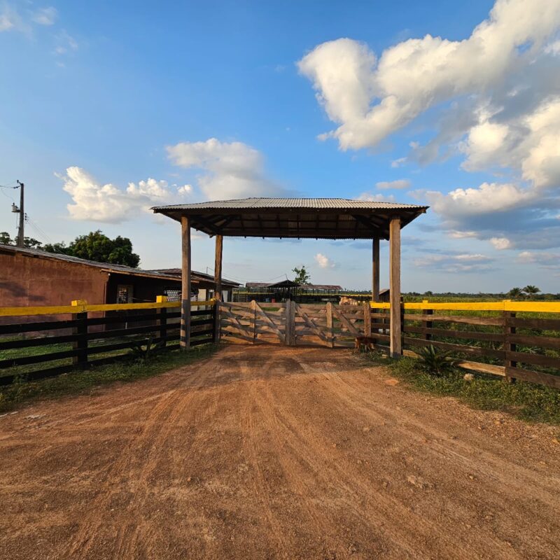 Sítio à Venda – Bonfim / RR