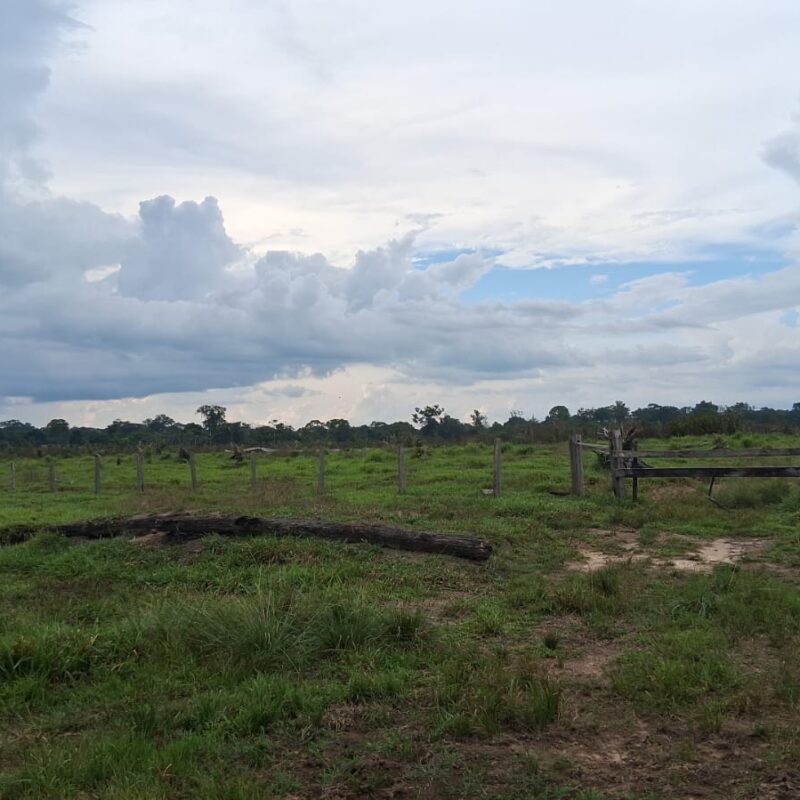 Fazenda  – Rorainópolis / RR